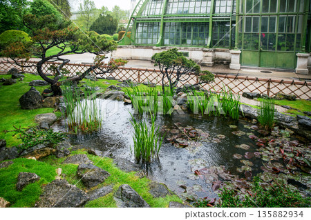 Japanese garden with awe topiary pine tree (small as bonsai) and behind greenhouse Japanese garden with awe topiary pine tree (small as bonsai) and behind greenhouse 135882934