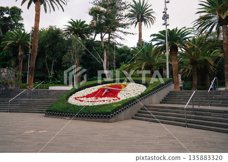 Garcia Sanabria Park in Santa Cruz de Tenerife with Palm Trees and Floral Clock Garcia Sanabria Park in Santa Cruz de Tenerife with Palm Trees and Floral Clock 135883320