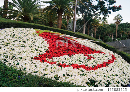 Garcia Sanabria Park in Santa Cruz de Tenerife with Palm Trees and Floral Clock 135883325