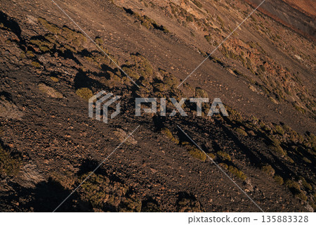 Volcanic Surface of Mount Teide, Sparse High Altitude Vegetation, Canary Island Volcanic Surface of Mount Teide, Sparse High Altitude Vegetation, Canary Island 135883328