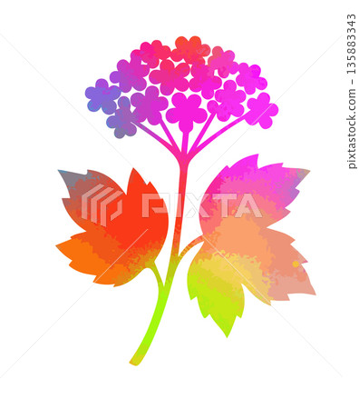 Creative colored hydrangea flower logo design vector concept illustration idea Hand drawn. Not AI vector Creative colored hydrangea flower logo design vector concept illustration idea Hand drawn. Not AI vector 135883343