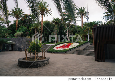 Garcia Sanabria Park in Santa Cruz de Tenerife with Palm Trees and Floral Clock 135883416