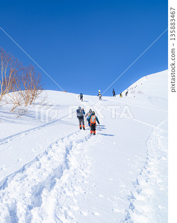 Snowy scenery of the Tenjin Ridge of Mt. Tanigawa, blue sky and climbers climbing a steep slope 135883467