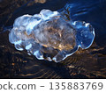 Ice hand holding a stone (20260121093521) 135883769