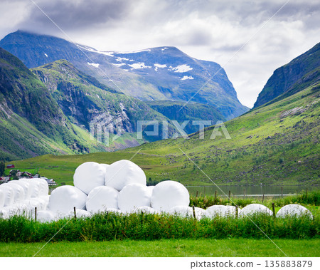 Bale of hay wrapped in plastic foil, Norway Bale of hay wrapped in plastic foil, Norway 135883879