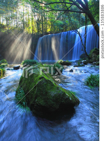 Nabegataki Falls illuminated by light (Oguni Town, Kumamoto Prefecture, vertical composition) Nabegataki Falls illuminated by light (Oguni Town, Kumamoto Prefecture, vertical composition) 135883886