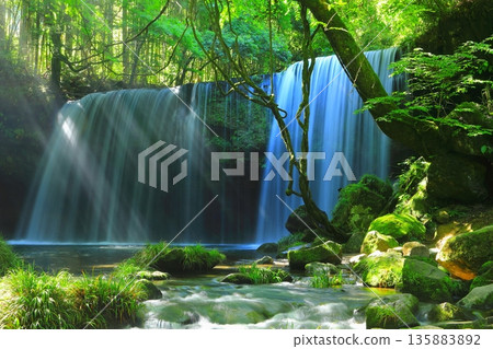 鍋瀑布燈飾（熊本縣小國町） 135883892