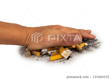 cigarette pile hand butt isolated on white background cigarette pile hand butt isolated on white background 135884335