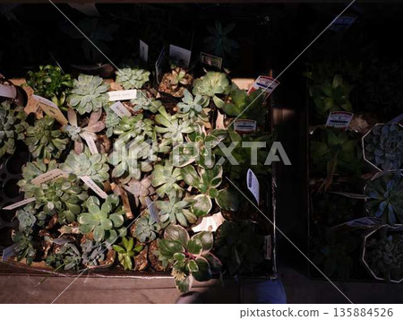 Florist's storefront 135884526