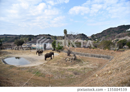 safari world 135884539