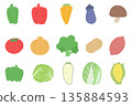 A set of hand-drawn vegetable illustrations in gentle colors 135884593