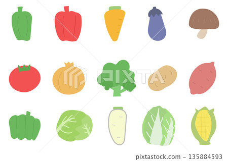 A set of hand-drawn vegetable illustrations in gentle colors A set of hand-drawn vegetable illustrations in gentle colors 135884593