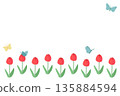 Simple background of butterflies and tulips 135884594