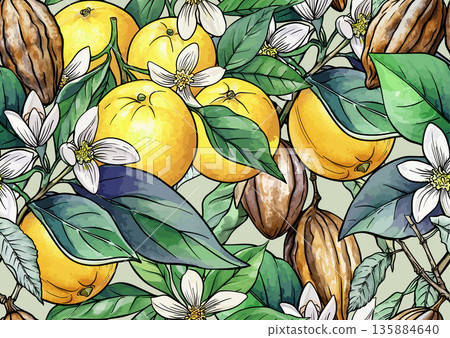 Oranges, cacao pods seamless botanical pattern Oranges, cacao pods seamless botanical pattern 135884640