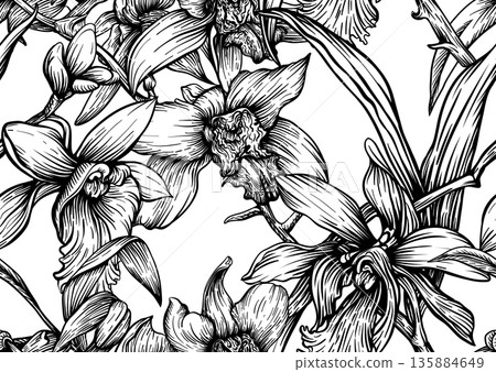 Vanilla orchid seamless coloring page. Vanilla orchid seamless coloring page. 135884649
