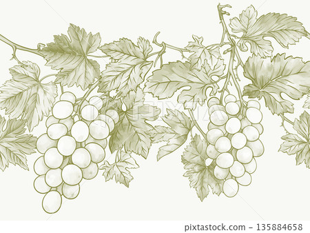 Seamless vector pattern with ripe grape 135884658