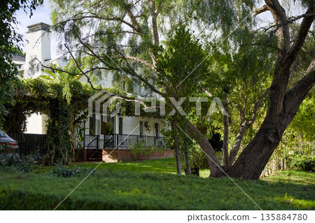 Residential house surrounded by lush green garden and trees Residential house surrounded by lush green garden and trees 135884780