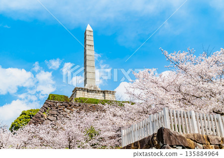 Yamanashi: Cherry blossoms in full bloom at Maizuru Castle Park Yamanashi: Cherry blossoms in full bloom at Maizuru Castle Park 135884964