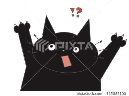 Surprised black cat 135885100