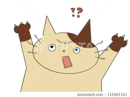 Surprised bicolor cat Surprised bicolor cat 135885101