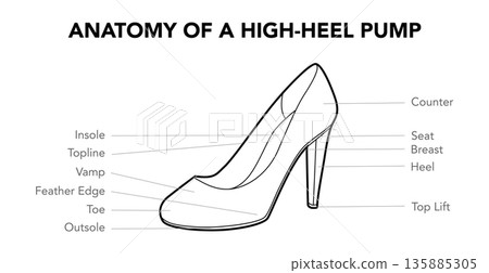 High heel pump anatomy diagram sketch pair. Counter, heel, insole and vamp construction for education design High heel pump anatomy diagram sketch pair. Counter, heel, insole and vamp construction for education design 135885305