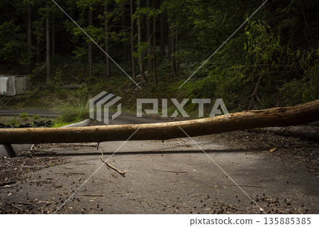 Fallen tree blocking the road Fallen tree blocking the road 135885385
