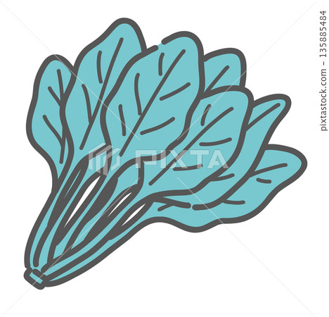 菠菜插圖（綠色和黃色蔬菜/含鐵） 135885484