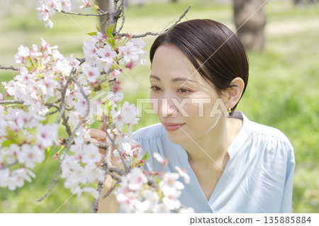 A woman touching a cherry blossom in full bloom A woman touching a cherry blossom in full bloom 135885884