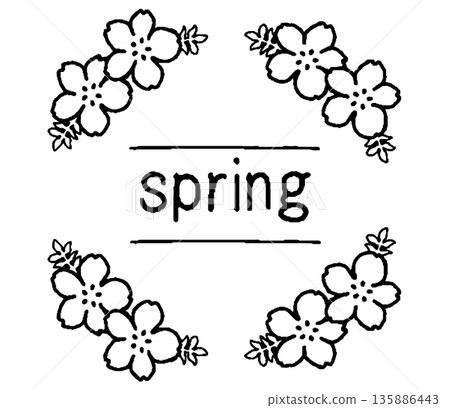 Nemophila spring monochrome illustration Nemophila spring monochrome illustration 135886443