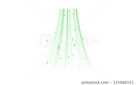 Green swirl with leafs 135886551