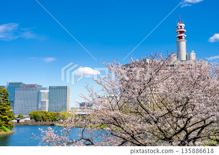 東京皇居櫻田護城河畔的櫻花 東京皇居櫻田護城河畔的櫻花 135886618