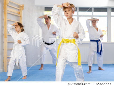 Family with children training karate techniques Family with children training karate techniques 135886633