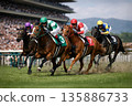 賽馬和騎師在賽馬場上展開激烈角逐 135886733