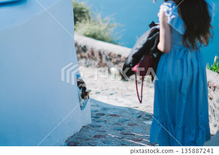 Breakfast at the hotel in Santorini 135887241
