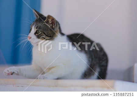 Breakfast at the hotel in Santorini 135887251