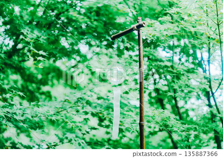 精壽院美麗的風鈴 精壽院美麗的風鈴 135887366