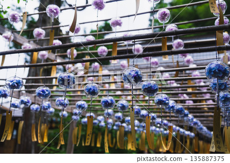 Beautiful wind chimes at Shojuin Temple Beautiful wind chimes at Shojuin Temple 135887375