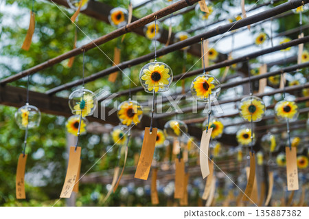 精壽院美麗的風鈴 135887382