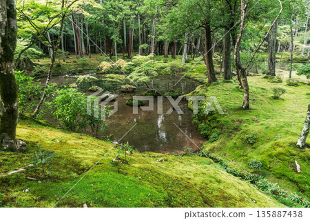 The beautiful garden of Saihoji Temple (Moss Temple) 135887438