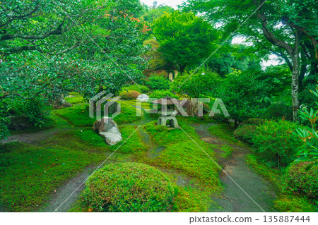 The beautiful garden of Saihoji Temple (Moss Temple) 135887444