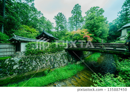西芳寺（苔蘚寺）的美麗花園 135887450