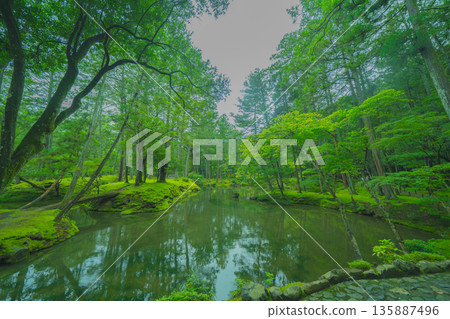 西芳寺（苔蘚寺）的美麗花園 135887496
