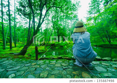 西芳寺（苔蘚寺）的美麗花園 135887498