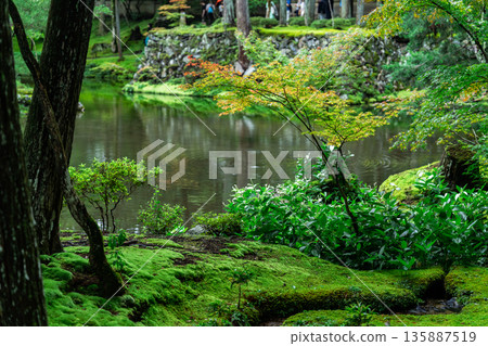 西芳寺（苔蘚寺）的美麗花園 135887519
