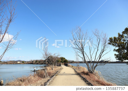 Kako-Oike Stroll Path on a Clear Winter Day (Inami Town, Hyogo Prefecture) Kako-Oike Stroll Path on a Clear Winter Day (Inami Town, Hyogo Prefecture) 135887737