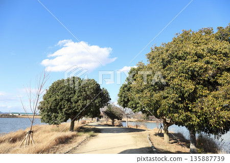 Kako-Oike Stroll Path on a Clear Winter Day (Inami Town, Hyogo Prefecture) Kako-Oike Stroll Path on a Clear Winter Day (Inami Town, Hyogo Prefecture) 135887739