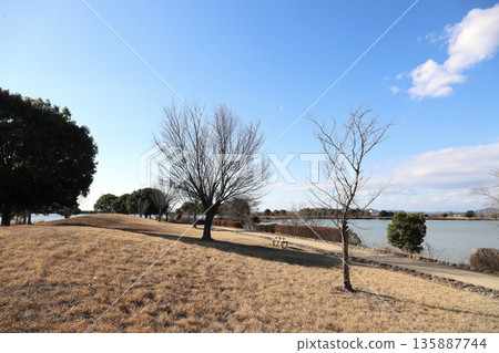 Kako-Oike Stroll Path on a Clear Winter Day (Inami Town, Hyogo Prefecture) 135887744