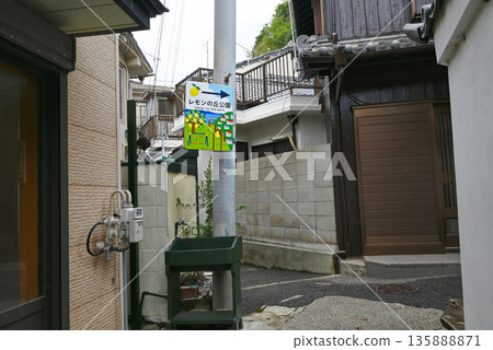 【和歌山縣和歌山市】西賀崎山坡村莊的狹窄巷道 135888871