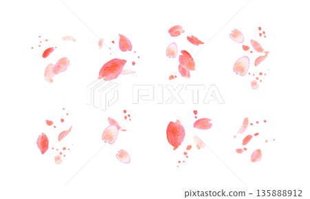 櫻花插圖。水彩櫻花點綴的春季背景。櫻花矢量圖。春季櫻花邊框。 櫻花插圖。水彩櫻花點綴的春季背景。櫻花矢量圖。春季櫻花邊框。 135888912