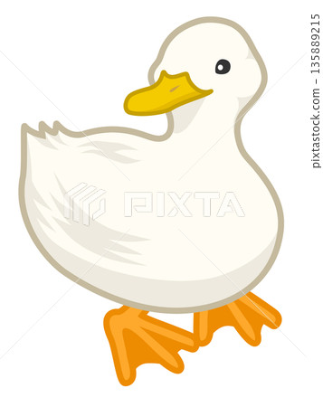 Vector illustration of a white duck looking sideways Vector illustration of a white duck looking sideways 135889215